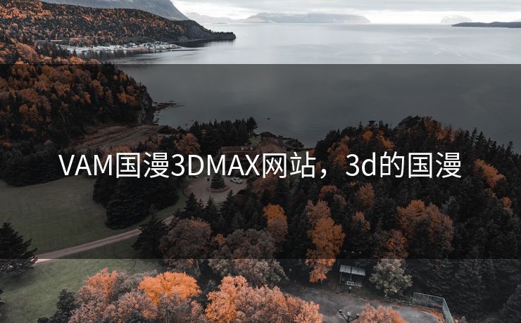 VAM国漫3DMAX网站，3d的国漫