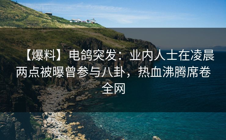 【爆料】电鸽突发：业内人士在凌晨两点被曝曾参与八卦，热血沸腾席卷全网