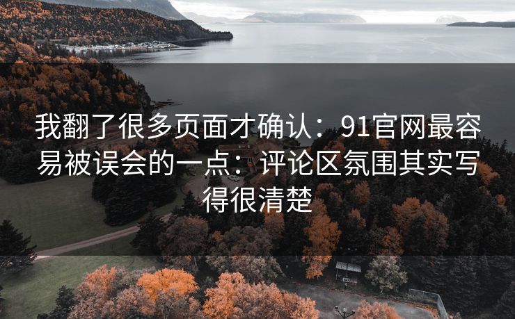 我翻了很多页面才确认:91官网最容易被误会的一点:评论区氛围其实写得很清楚 我翻了很多页面才确认:91官网最容易被误会的一点:评论区氛围其实写得很清楚