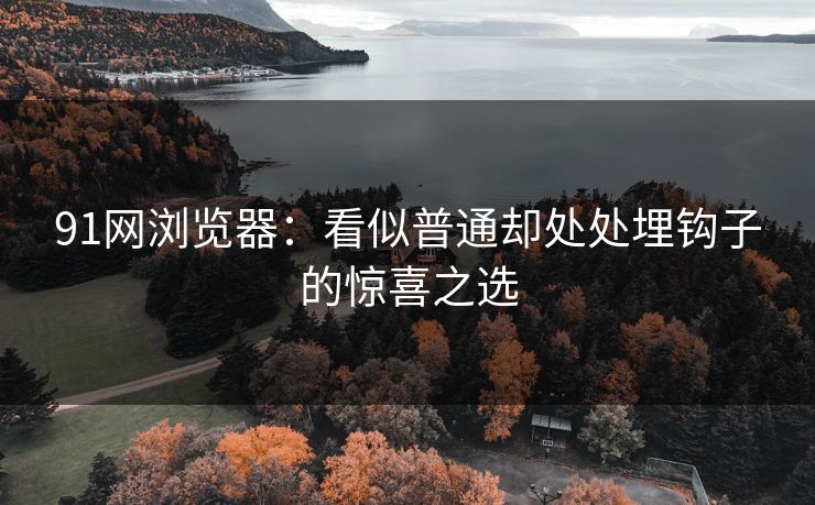 91网浏览器:看似普通却处处埋钩子的惊喜之选 91网浏览器:看似普通却处处埋钩子的惊喜之选